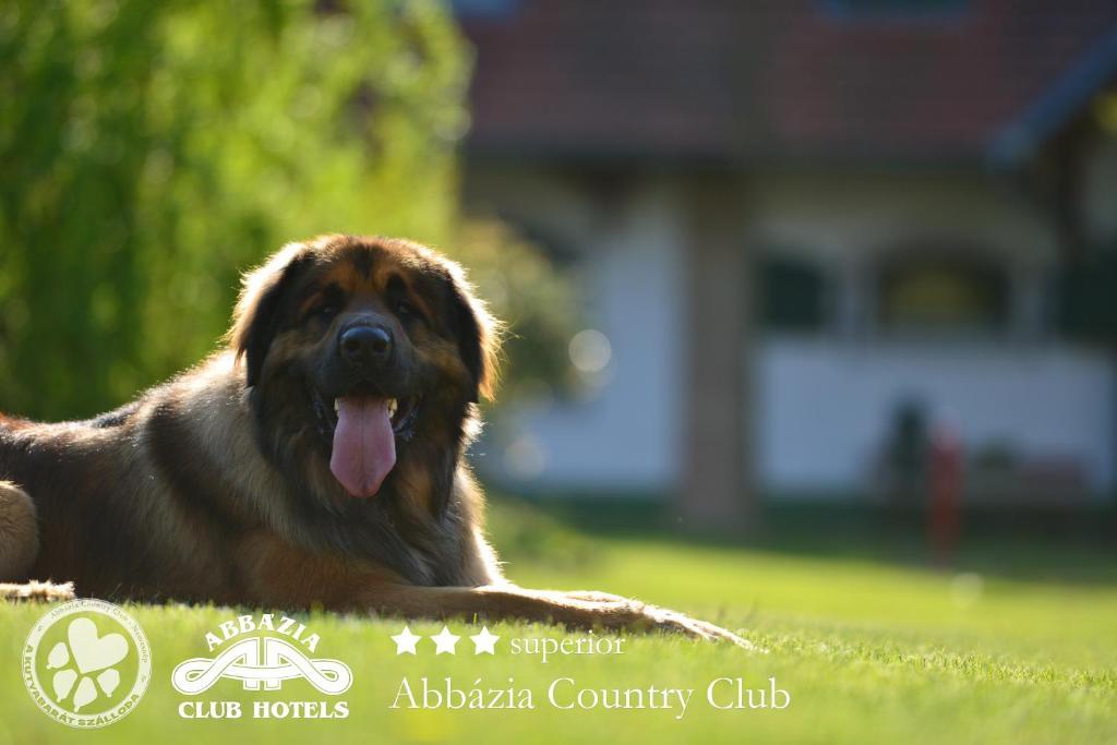ホテル Abbazia Country Club Nemesnép エクステリア 写真